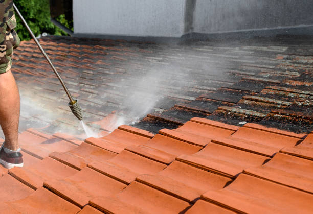Best Residential Pressure Washing Services  in Columbus, WI